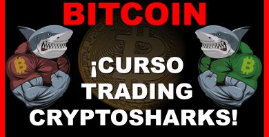el mejor curso de trading en oferta bitcoin